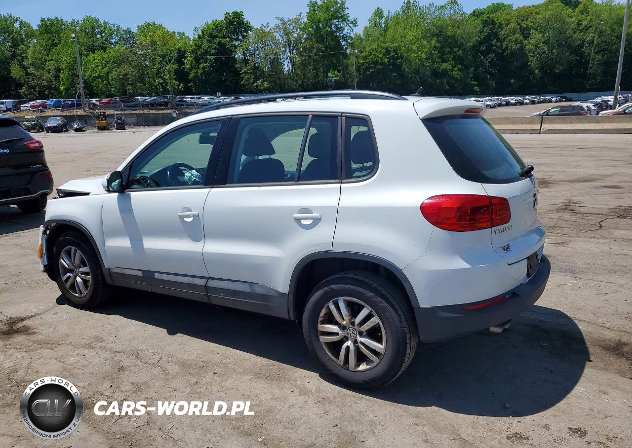 2016 Volkswagen Tiguan S VIN:WVGAV7AX6GW570176 - 2