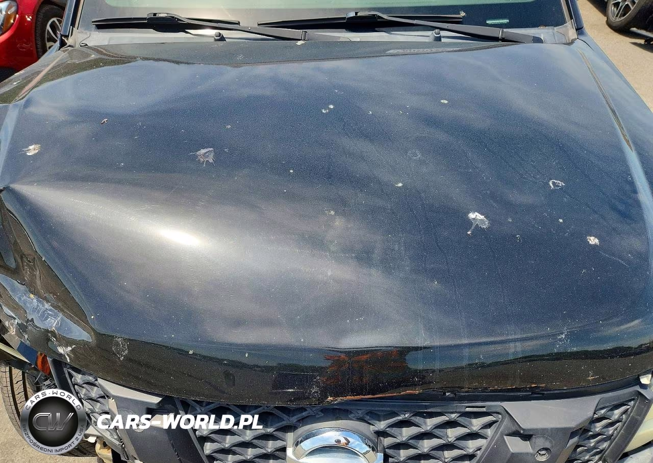 2010 Nissan Xterra X VIN:5N1AN0NW2AC511580 - 12