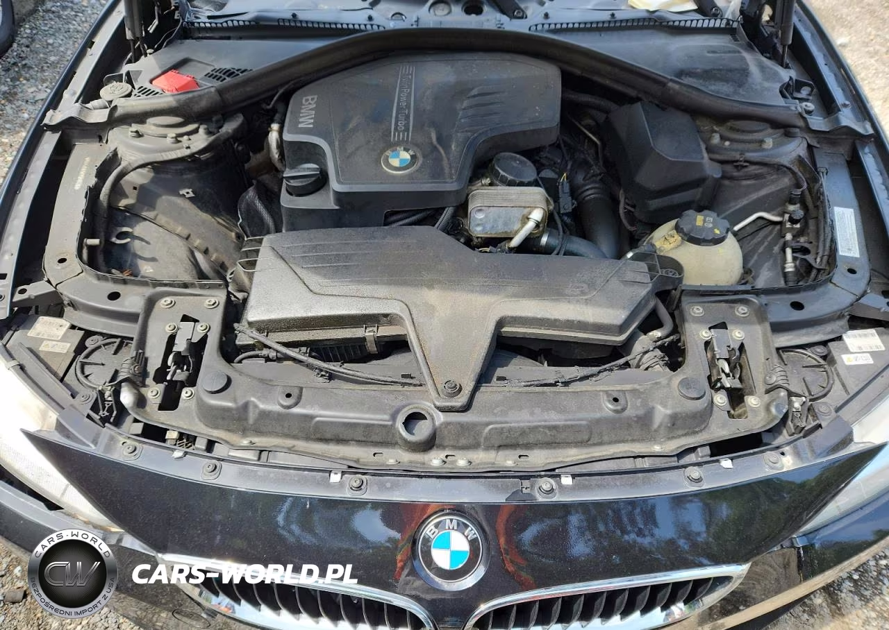 2015 BMW 428 Xi VIN:WBA3N9C52FK248139 - 11