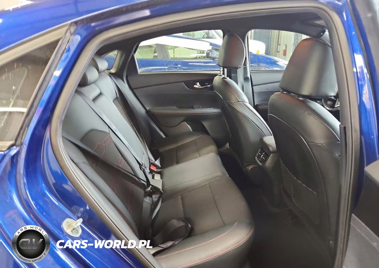 2020 Kia Forte Gt VIN:3KPF44AC8LE257630 - 10