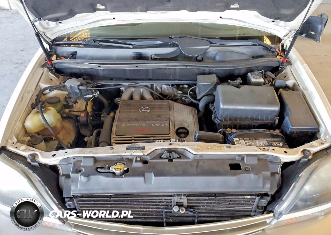 2000 Lexus Rx 300 VIN:JT6GF10U7Y0075349 - 12