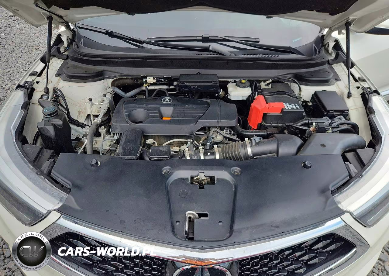 2019 Acura Rdx Advance VIN:5J8TC2H75KL039686 - 11