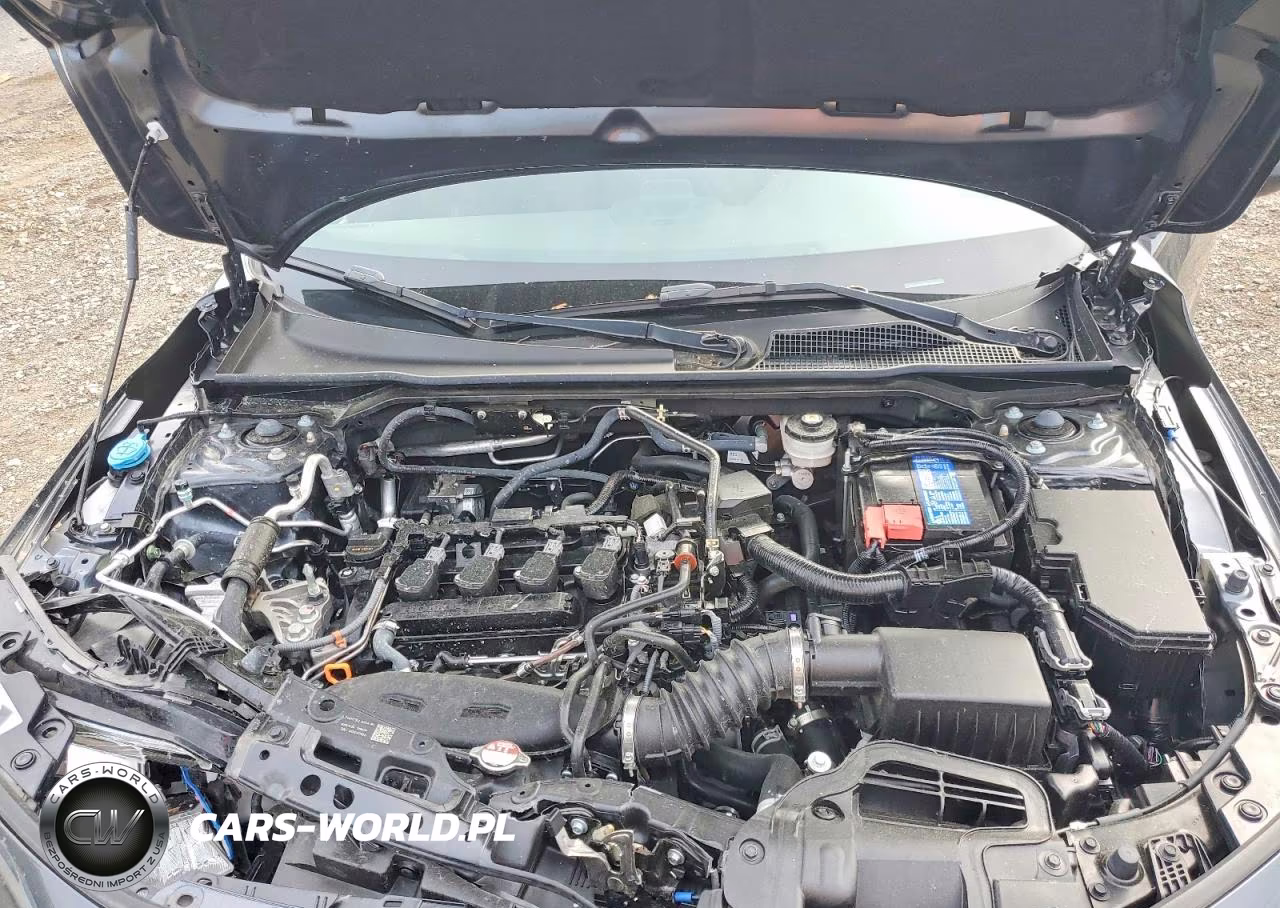 2024 Honda Civic Ex VIN:2HGFE1F75RH318504 - 11