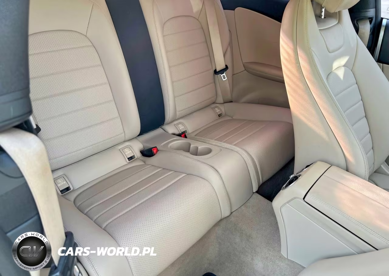 2018 MERCEDES-BENZ C 300 VIN:WDDWJ4JBXJF670349 - 6