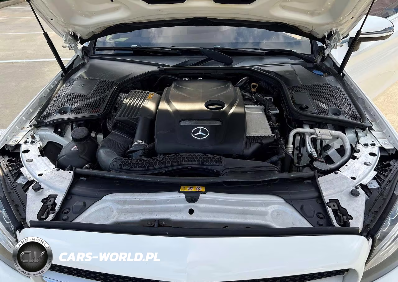 2018 MERCEDES-BENZ C 300 VIN:WDDWJ4JBXJF670349 - 7