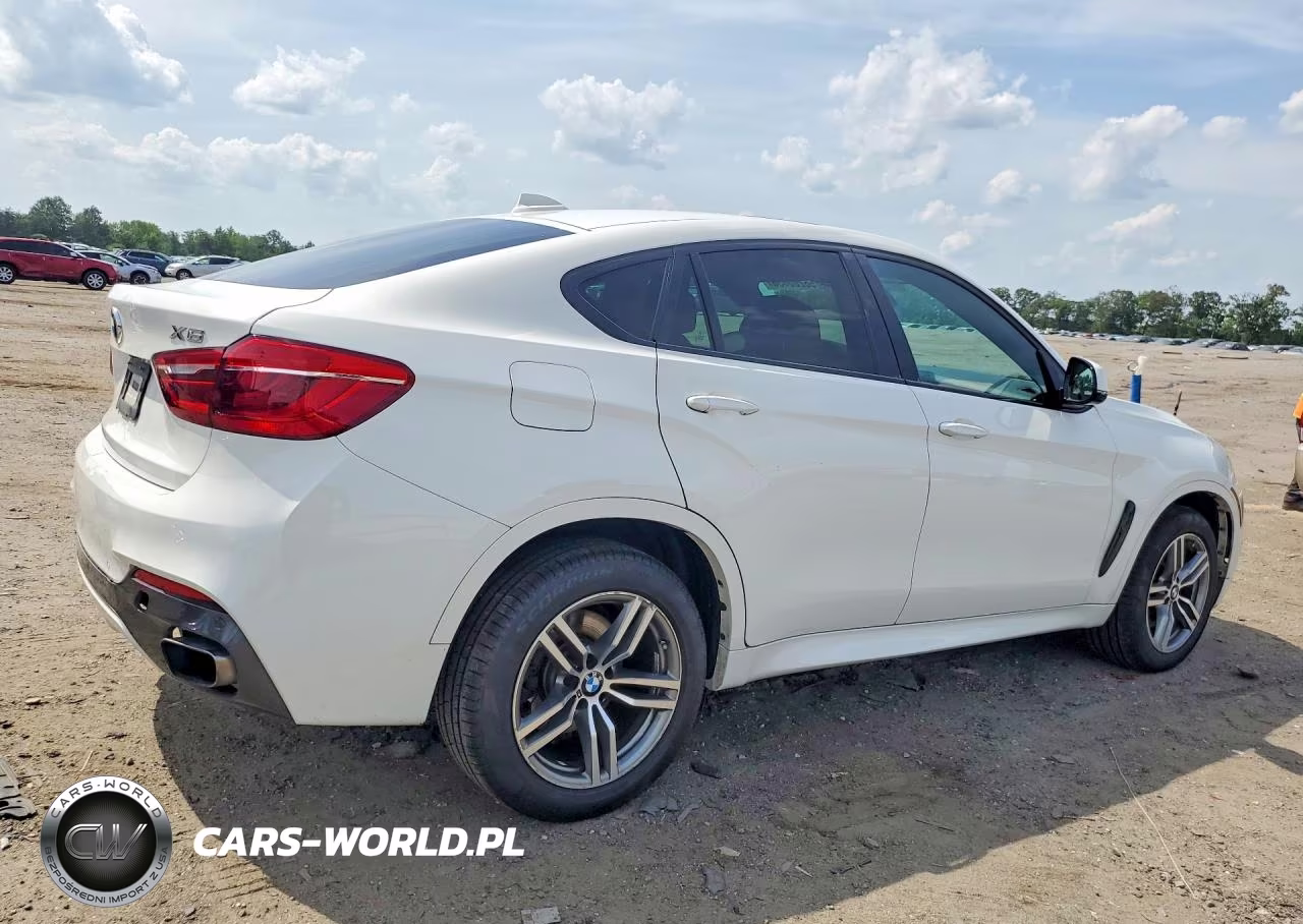 2015 BMW X6 xDrive50I VIN:5UXKU6C52F0F94334 - 3