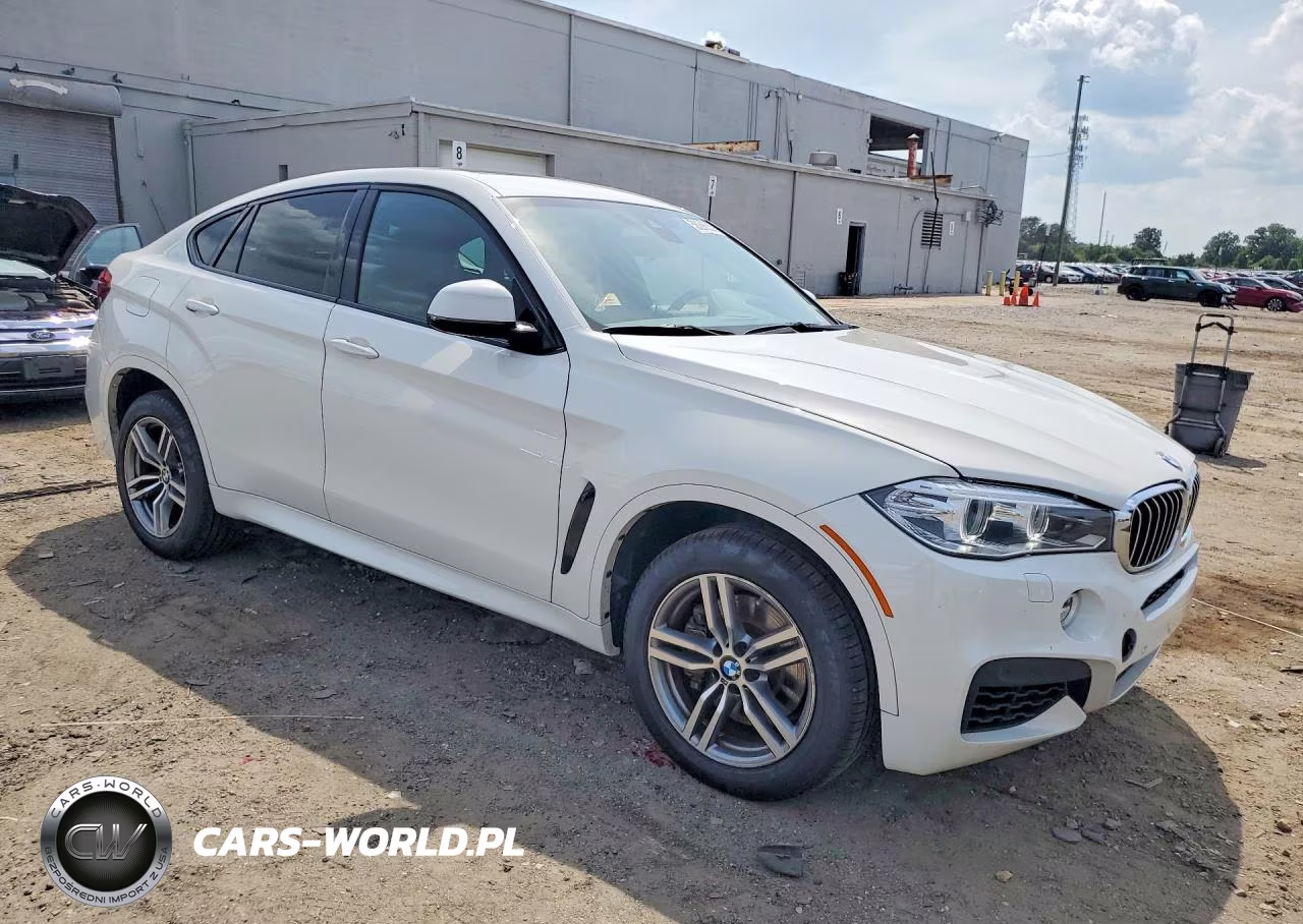 2015 BMW X6 xDrive50I VIN:5UXKU6C52F0F94334 - 4