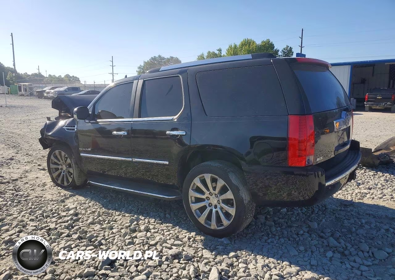 2010 Cadillac Escalade Luxury VIN:1GYUKBEF7AR213636 - 2