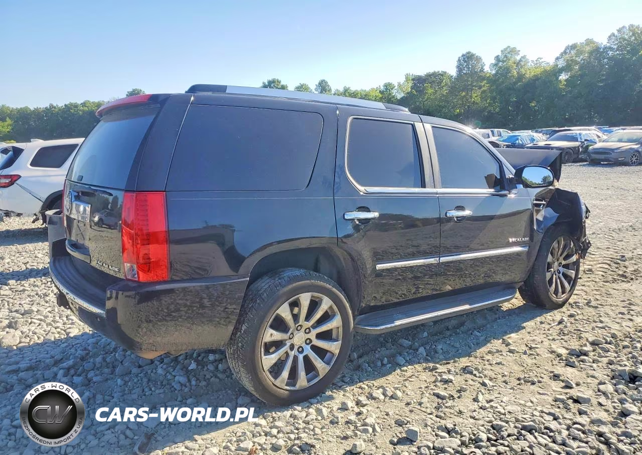 2010 Cadillac Escalade Luxury VIN:1GYUKBEF7AR213636 - 3