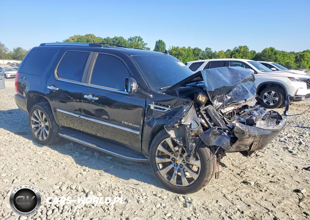 2010 Cadillac Escalade Luxury VIN:1GYUKBEF7AR213636 - 4