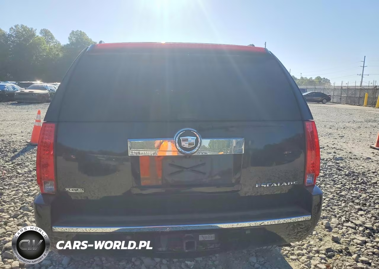 2010 Cadillac Escalade Luxury VIN:1GYUKBEF7AR213636 - 6