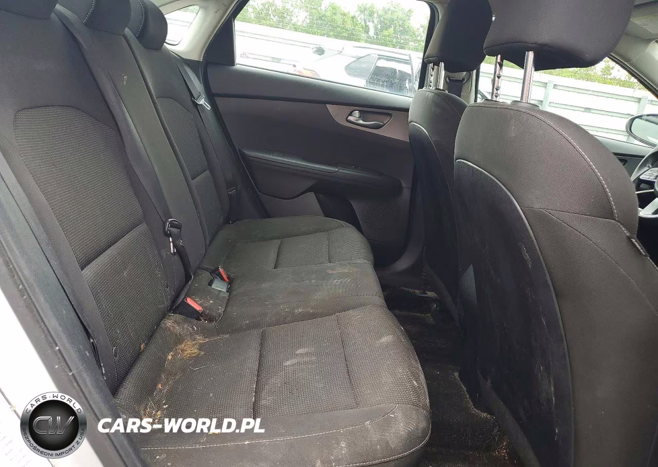 2019 Kia Forte Lxs VIN:3KPF24ADXKE090832 - 10