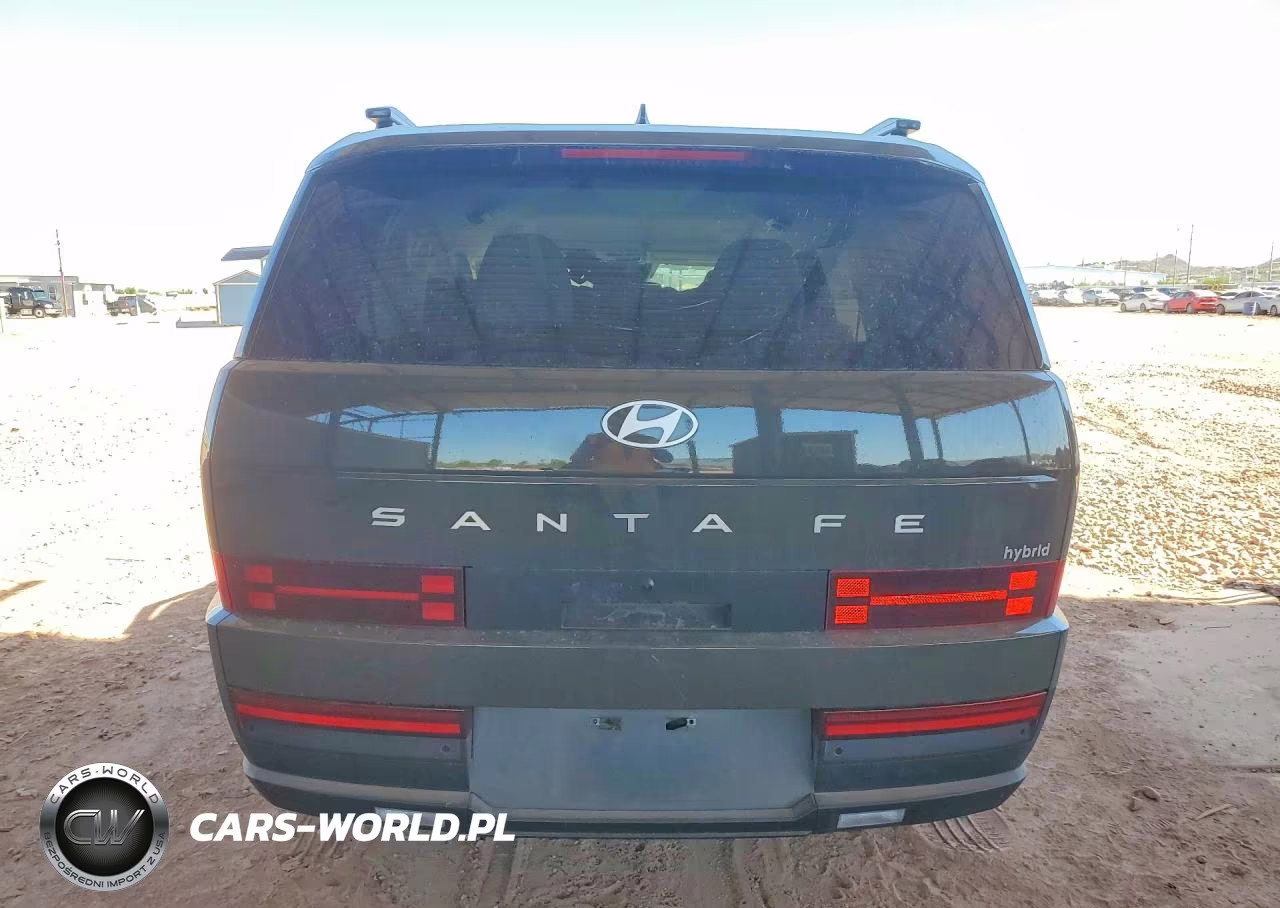 2025 Hyundai Santa Fe Sel VIN:5NMP24G1XSH041060 - 6