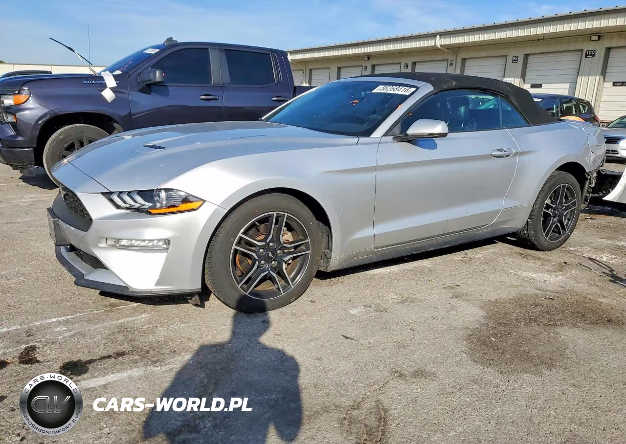 2019 Ford Mustang VIN:1FATP8UH7K5151162 - 1