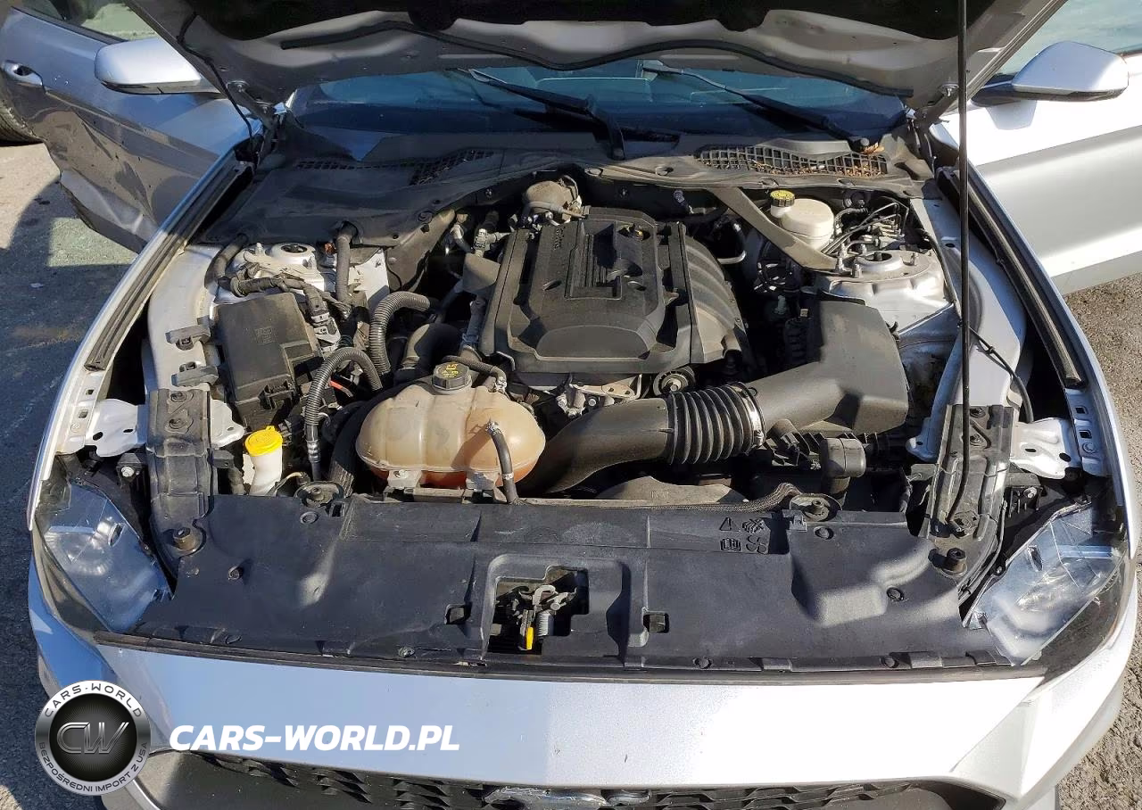 2019 Ford Mustang VIN:1FATP8UH7K5151162 - 11
