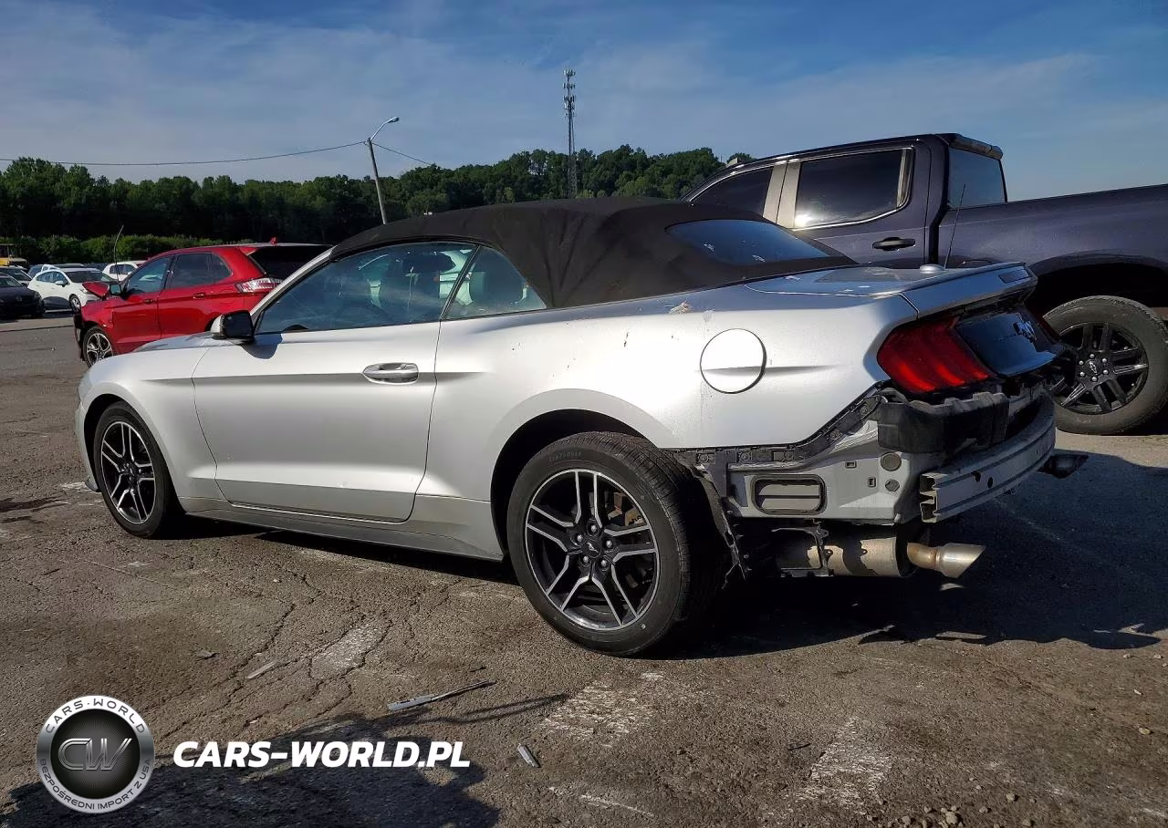 2019 Ford Mustang VIN:1FATP8UH7K5151162 - 2