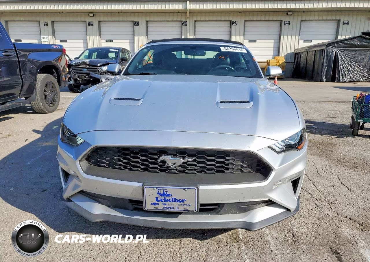 2019 Ford Mustang VIN:1FATP8UH7K5151162 - 5