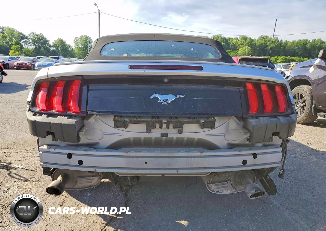 2019 Ford Mustang VIN:1FATP8UH7K5151162 - 6