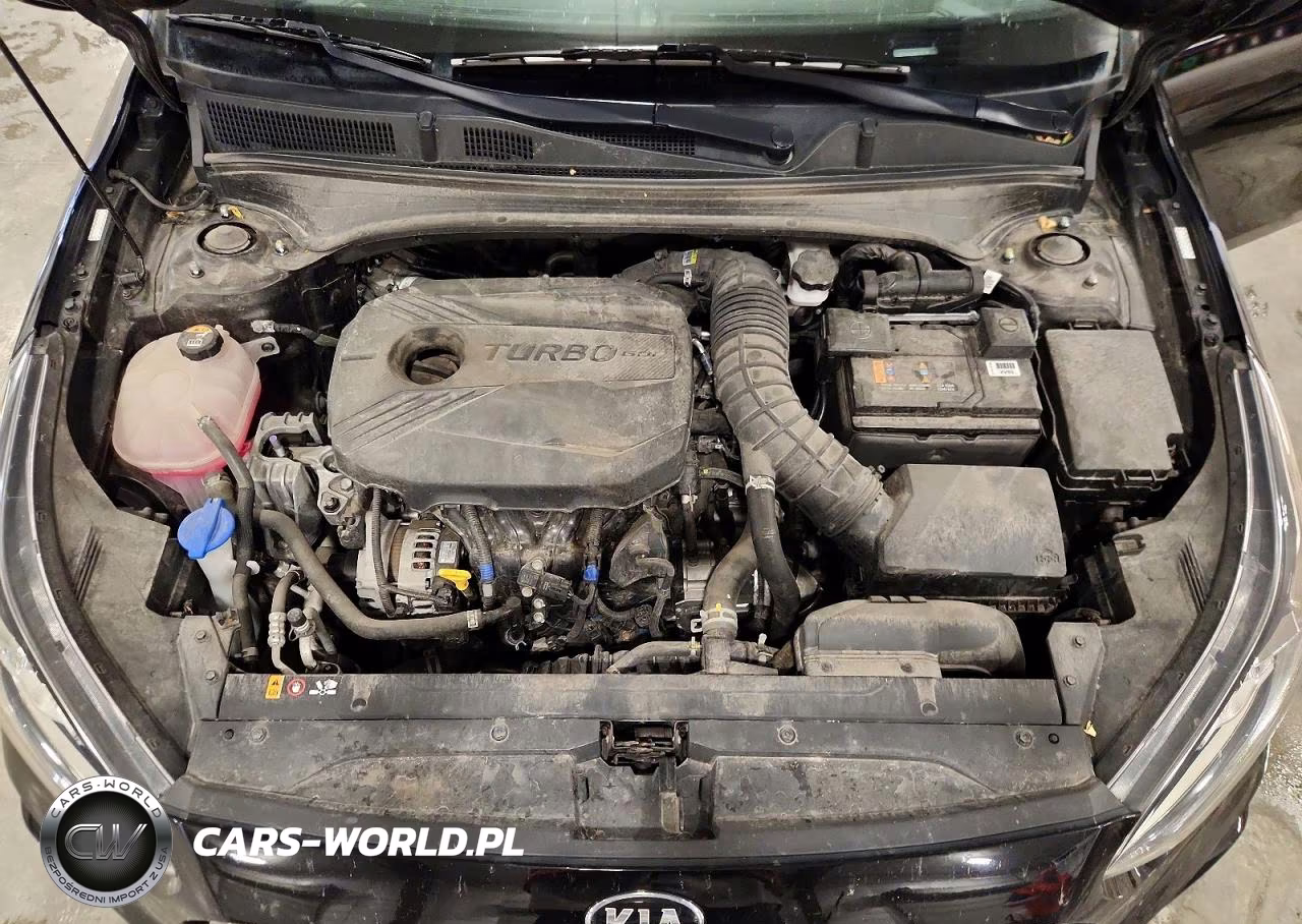 2021 Kia Forte Gt VIN:3KPF44AC9ME376174 - 11