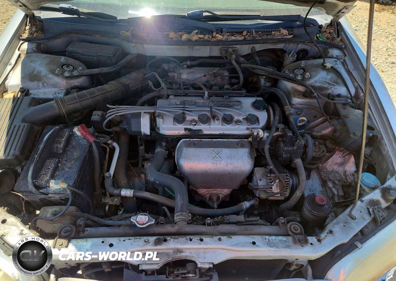 2002 Honda Accord Lx VIN:1HGCG31602A015044 - 11