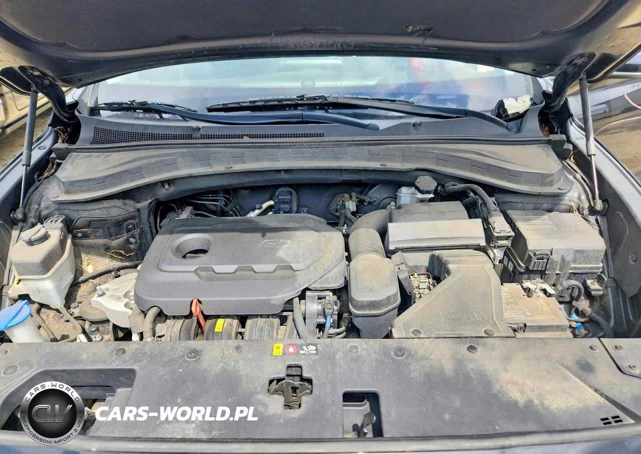 2019 Hyundai Santa Fe Sel 2.4L VIN:5NMS3CAD8KH089435 - 12