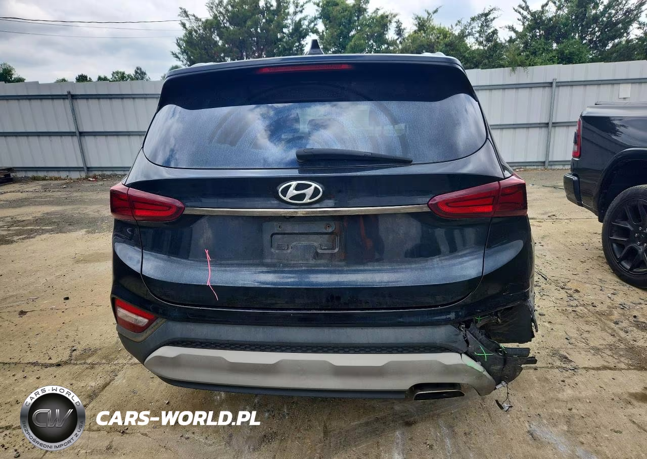 2019 Hyundai Santa Fe Sel 2.4L VIN:5NMS3CAD8KH089435 - 6