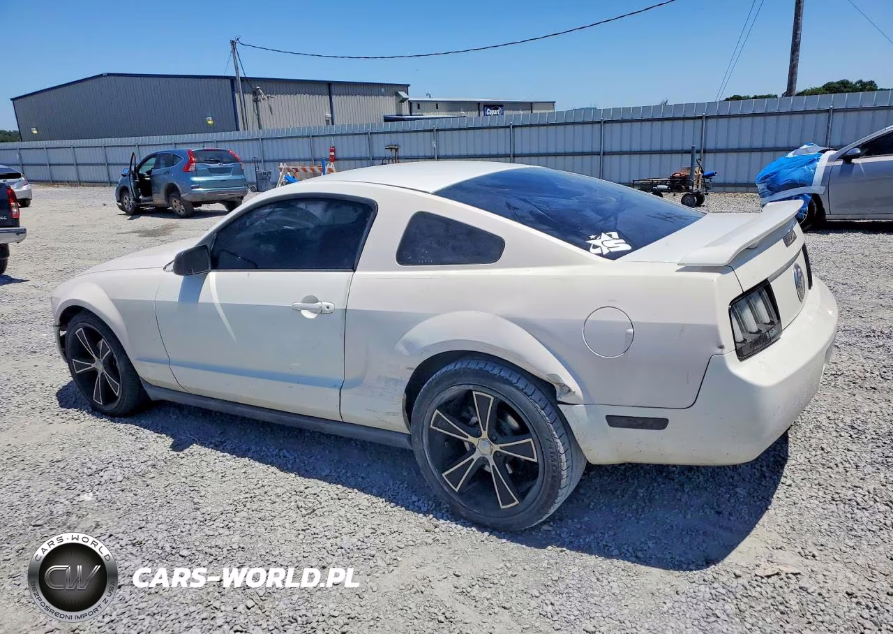 2005 Ford Mustang VIN:1ZVFT80N355150056 - 2