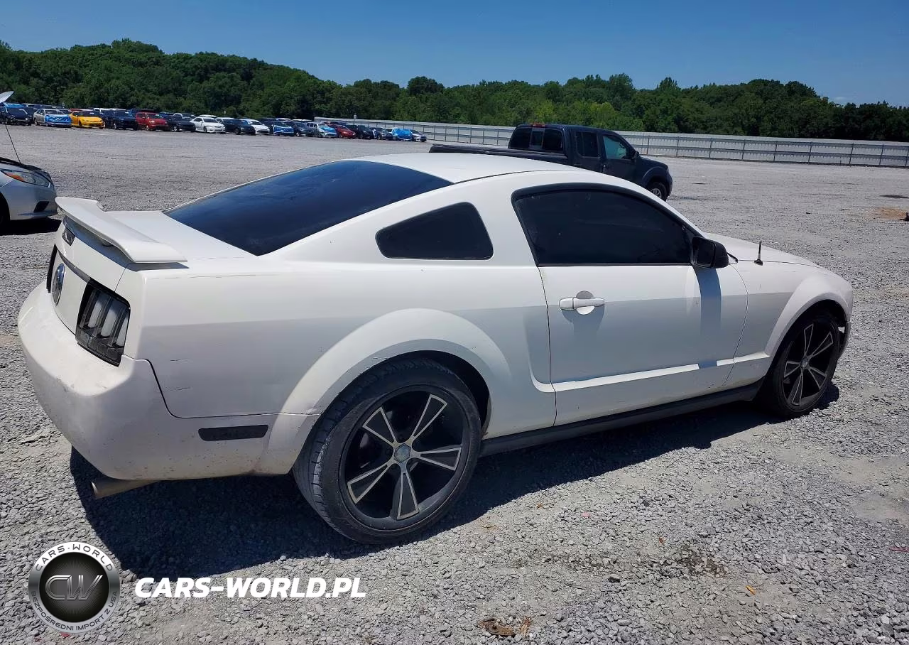 2005 Ford Mustang VIN:1ZVFT80N355150056 - 3