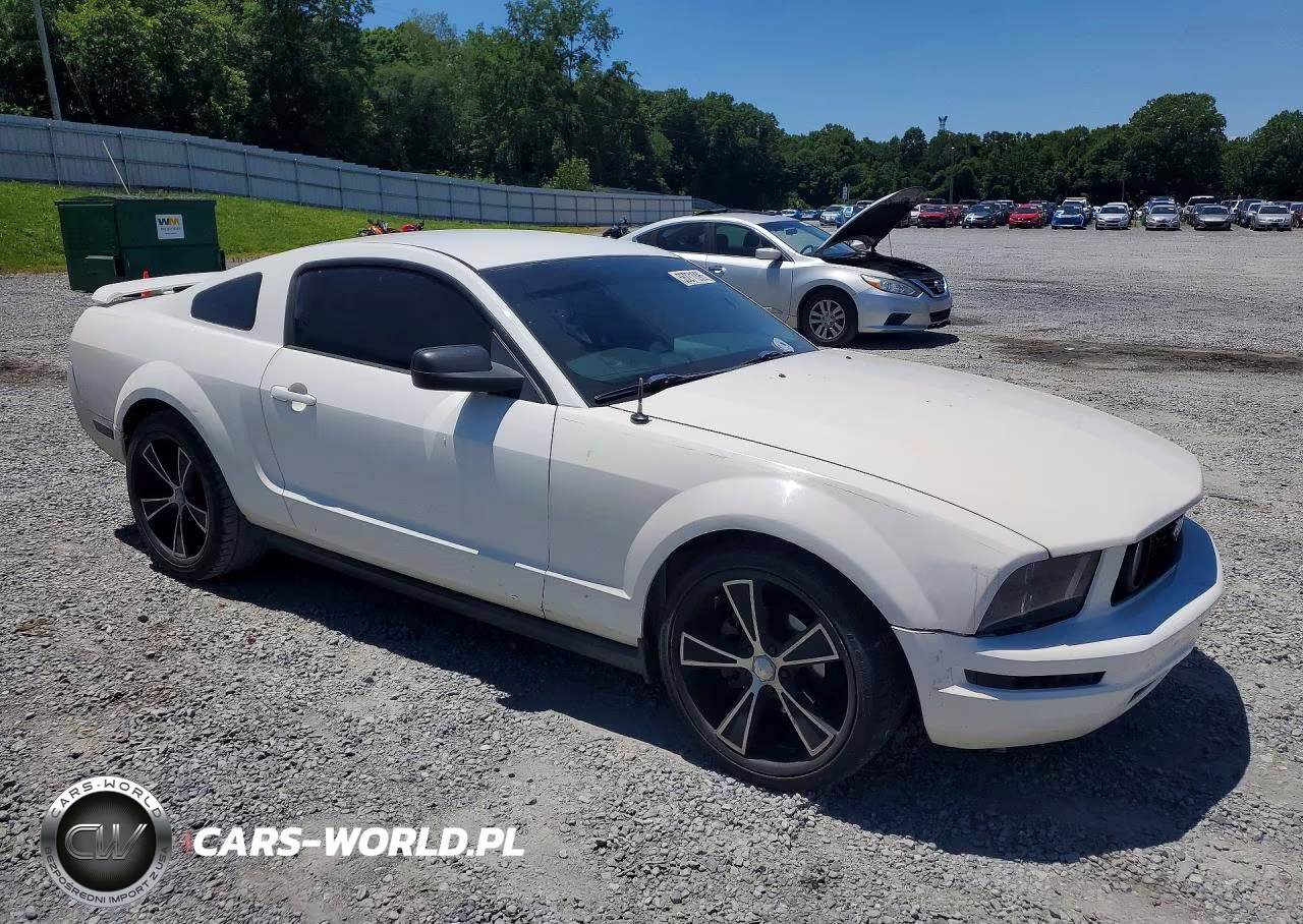 2005 Ford Mustang VIN:1ZVFT80N355150056 - 4