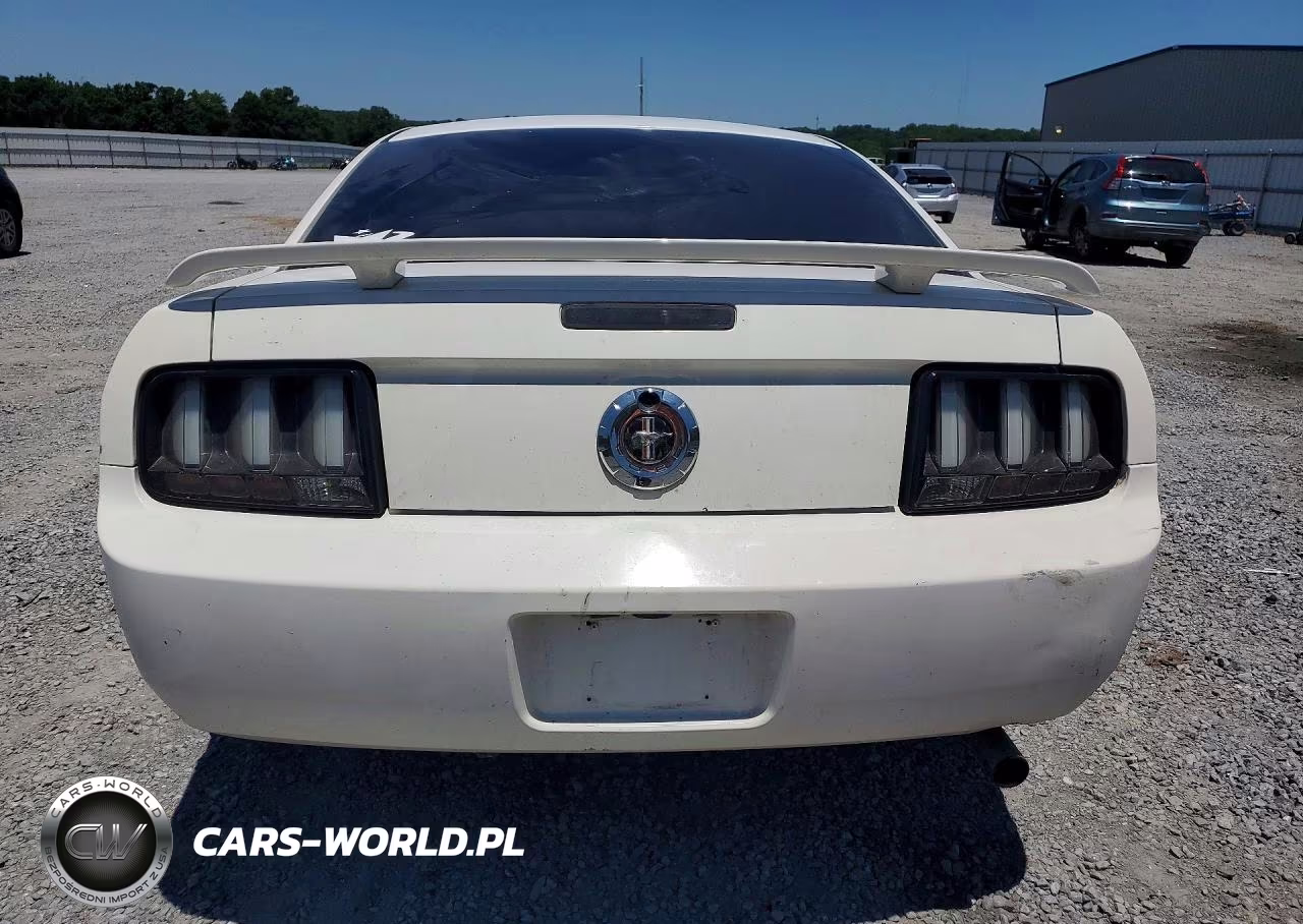 2005 Ford Mustang VIN:1ZVFT80N355150056 - 6