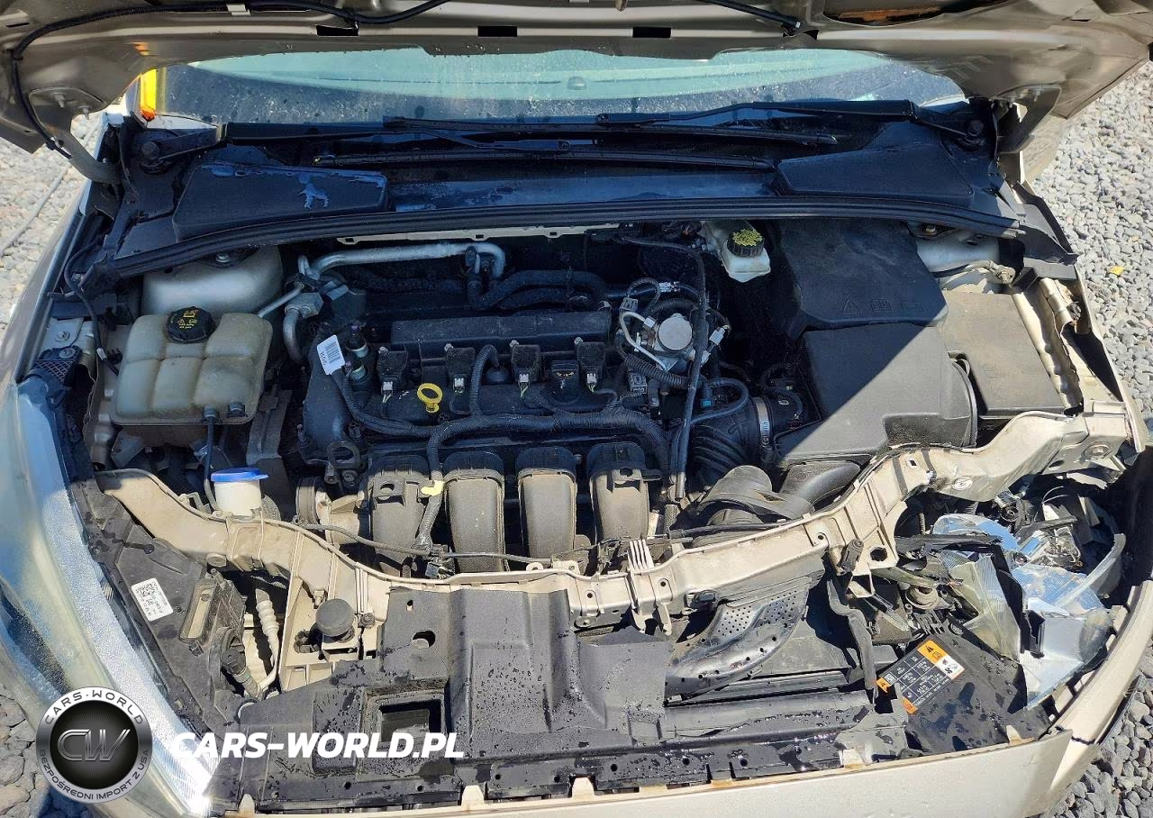 2017 Ford Focus Se VIN:1FADP3F26HL302559 - 11