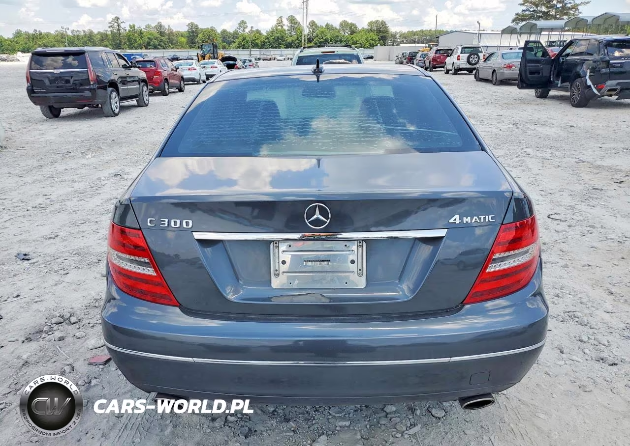 2013 Mercedes-Benz C 300 4Matic VIN:WDDGF8AB8DR250704 - 6