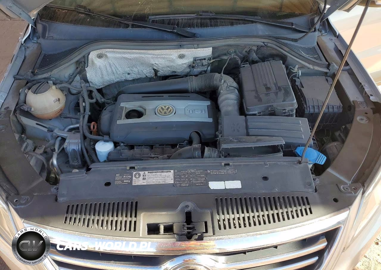 2010 Volkswagen Tiguan Se VIN:WVGBV7AX5AW524754 - 12