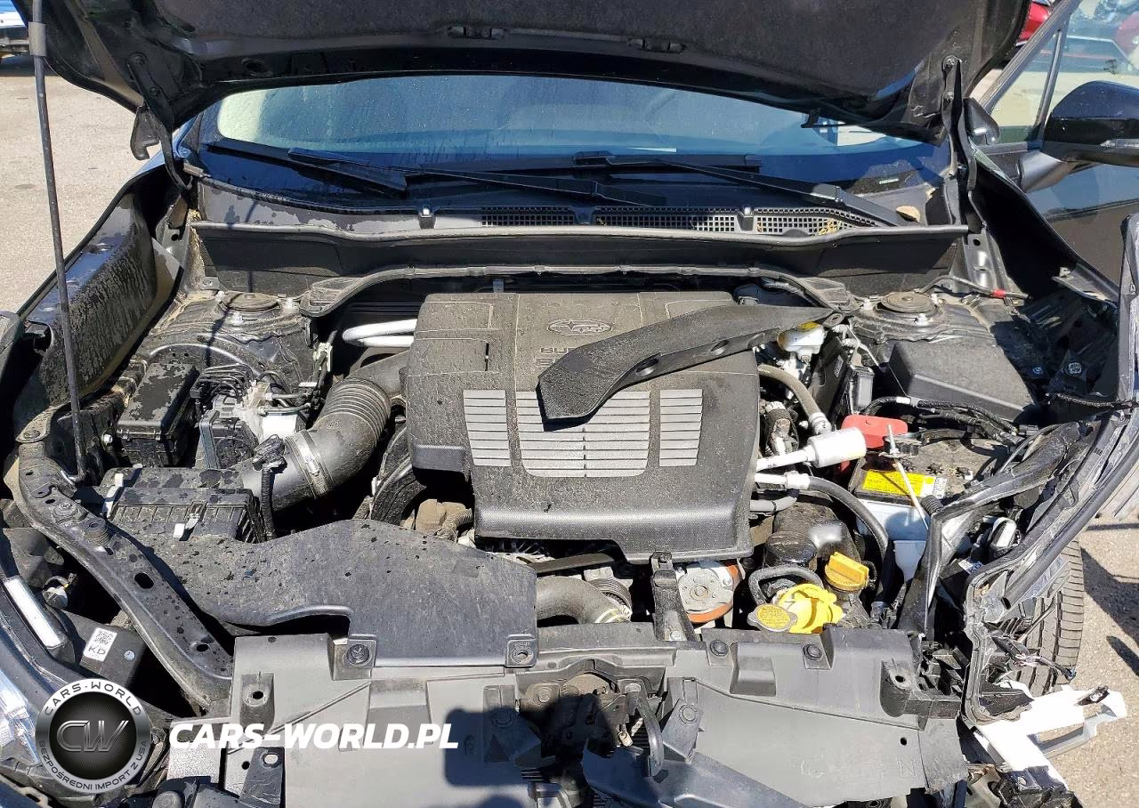 2024 Subaru Forester Sport VIN:JF2SKAEC3RH441360 - 12