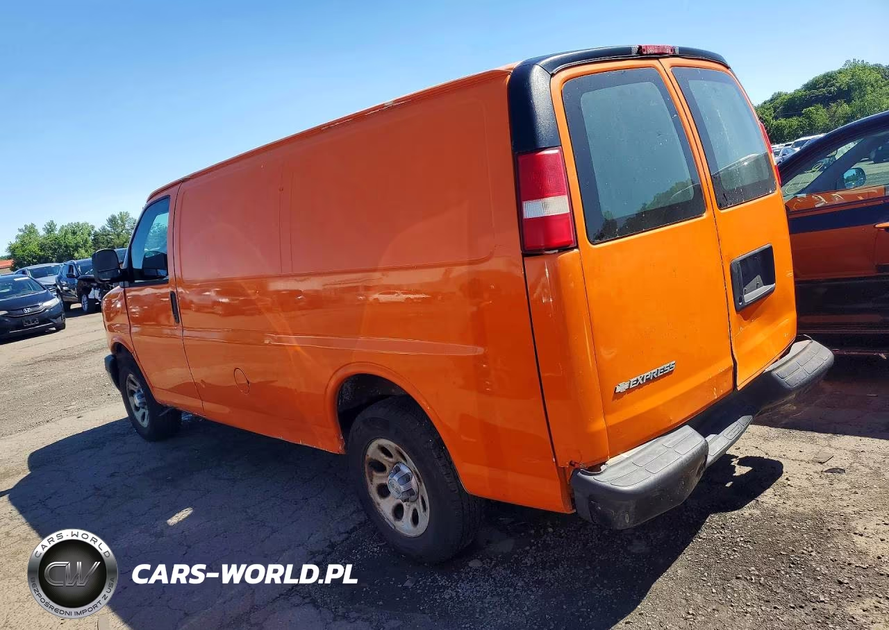 2010 Chevrolet Express G1500 VIN:1GCUGADX4A1150117 - 2