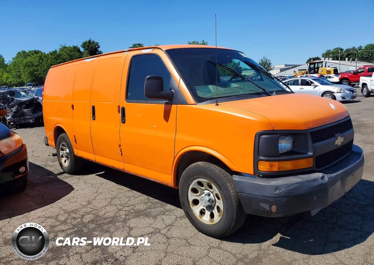 2010 Chevrolet Express G1500 VIN:1GCUGADX4A1150117 - 4