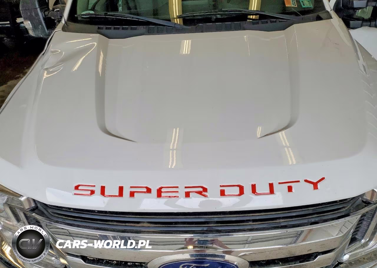 2019 Ford F250 Super Duty VIN:1FT7W2B68KEE35929 - 11