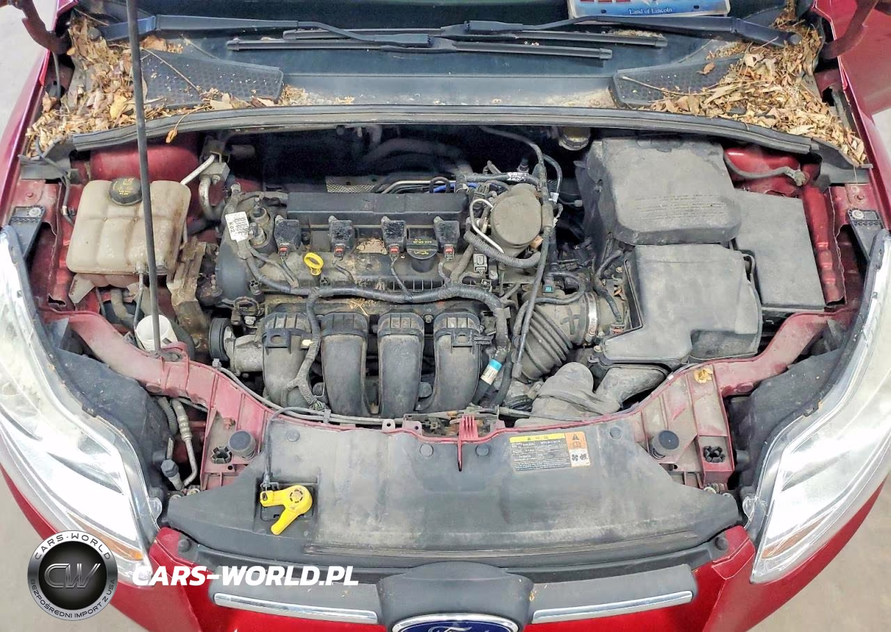 2014 Ford Focus Se VIN:1FADP3F21EL136382 - 11