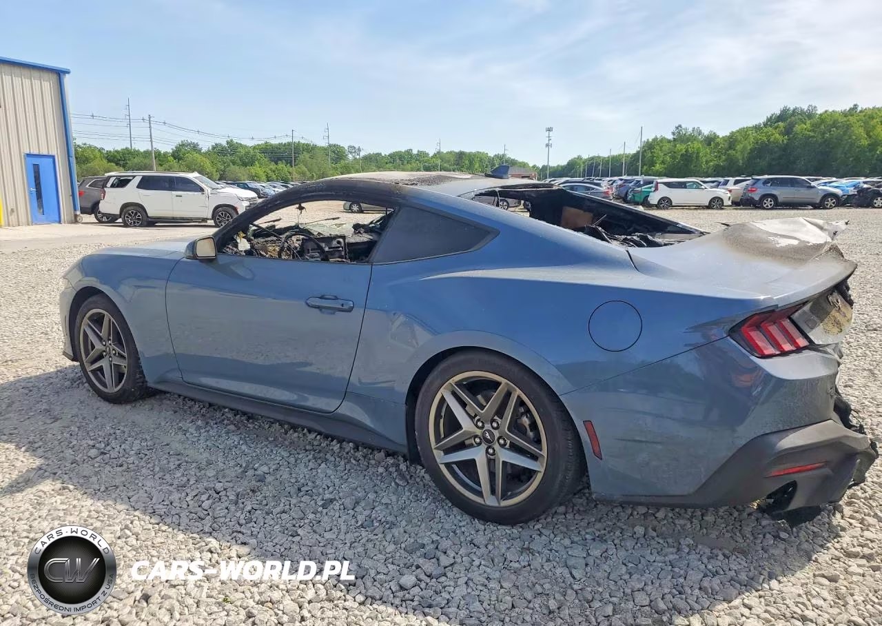 2025 Ford Mustang VIN:1FA6P8THXS5131972 - 2