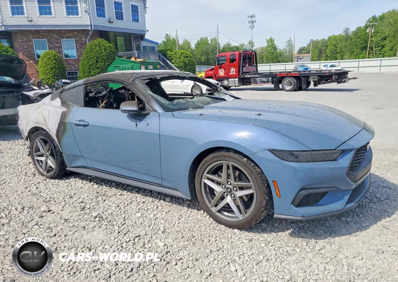2025 Ford Mustang VIN:1FA6P8THXS5131972 - 4