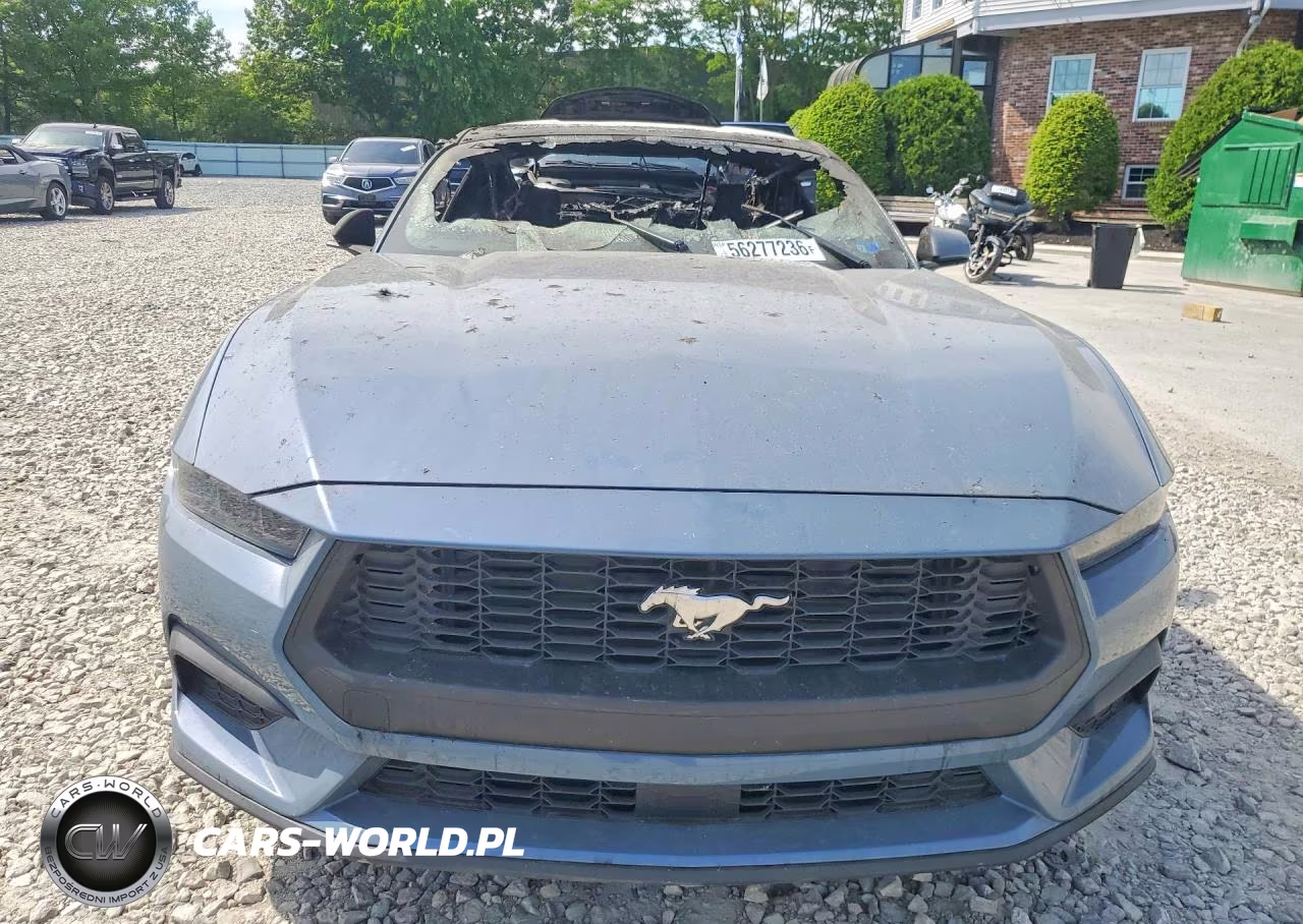 2025 Ford Mustang VIN:1FA6P8THXS5131972 - 5
