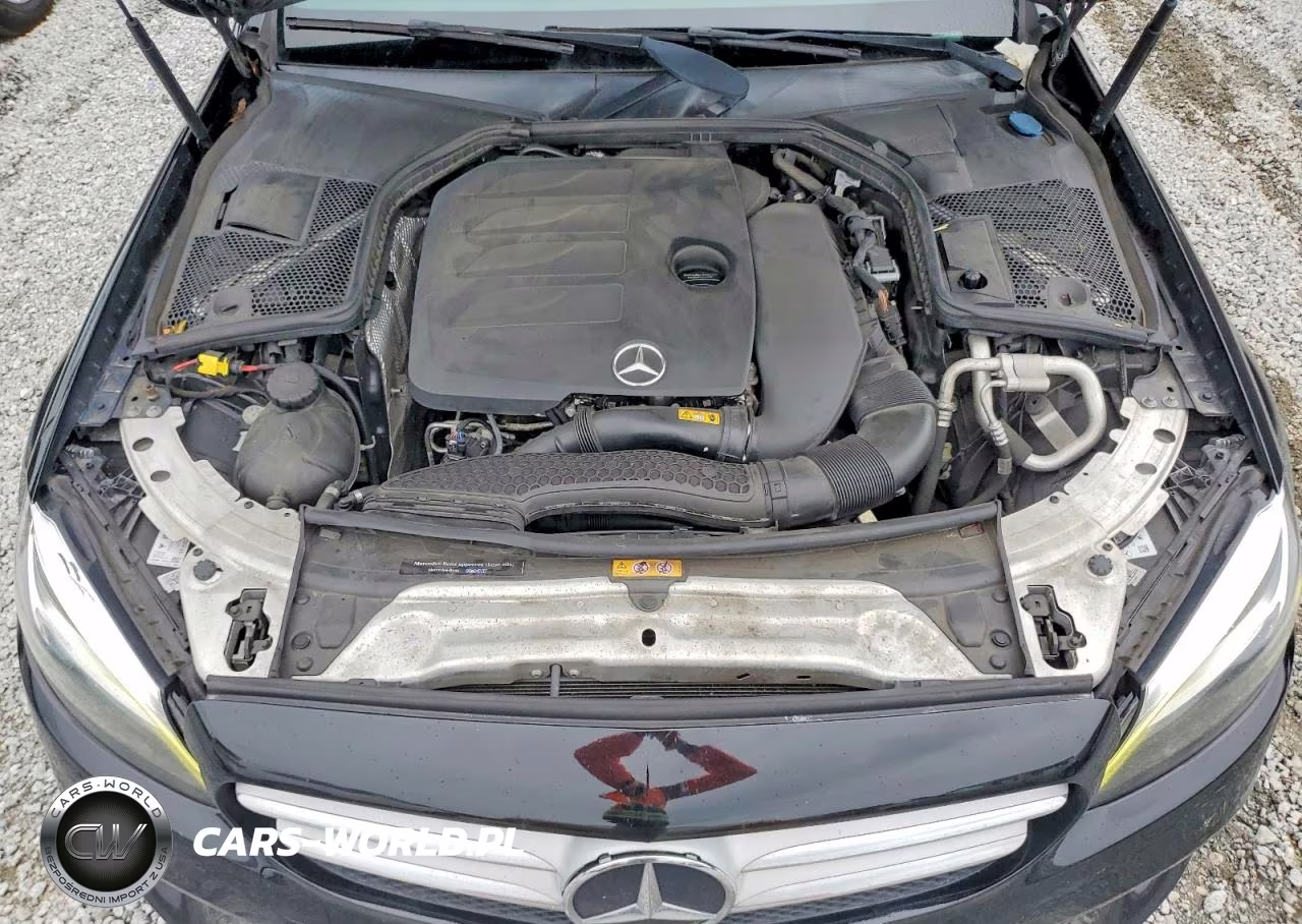 2019 Mercedes-Benz C 300 VIN:55SWF8DBXKU295467 - 11