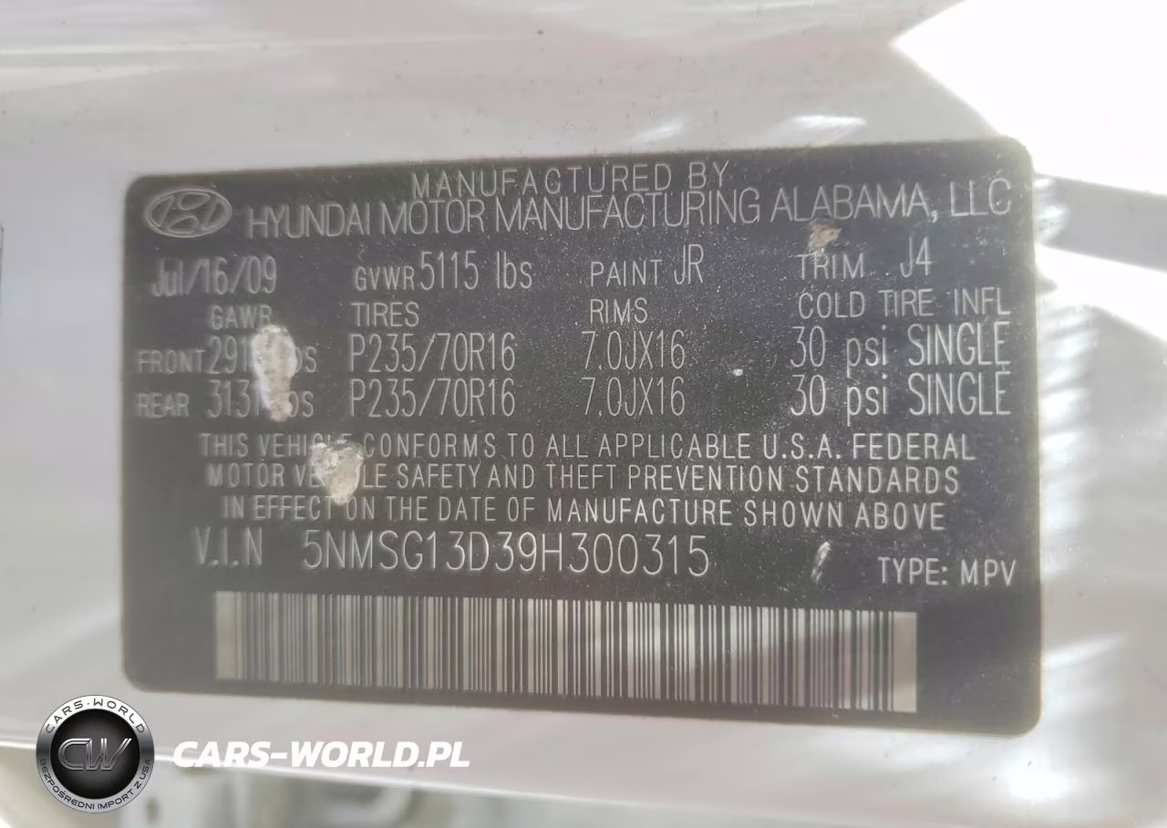 2009 Hyundai Santa Fe Gls VIN:5NMSG13D39H300315 - 13