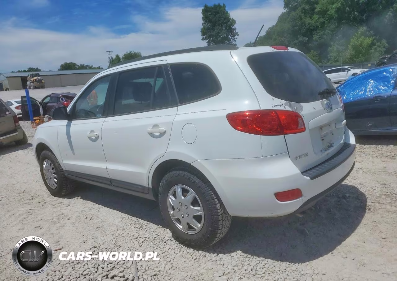 2009 Hyundai Santa Fe Gls VIN:5NMSG13D39H300315 - 2