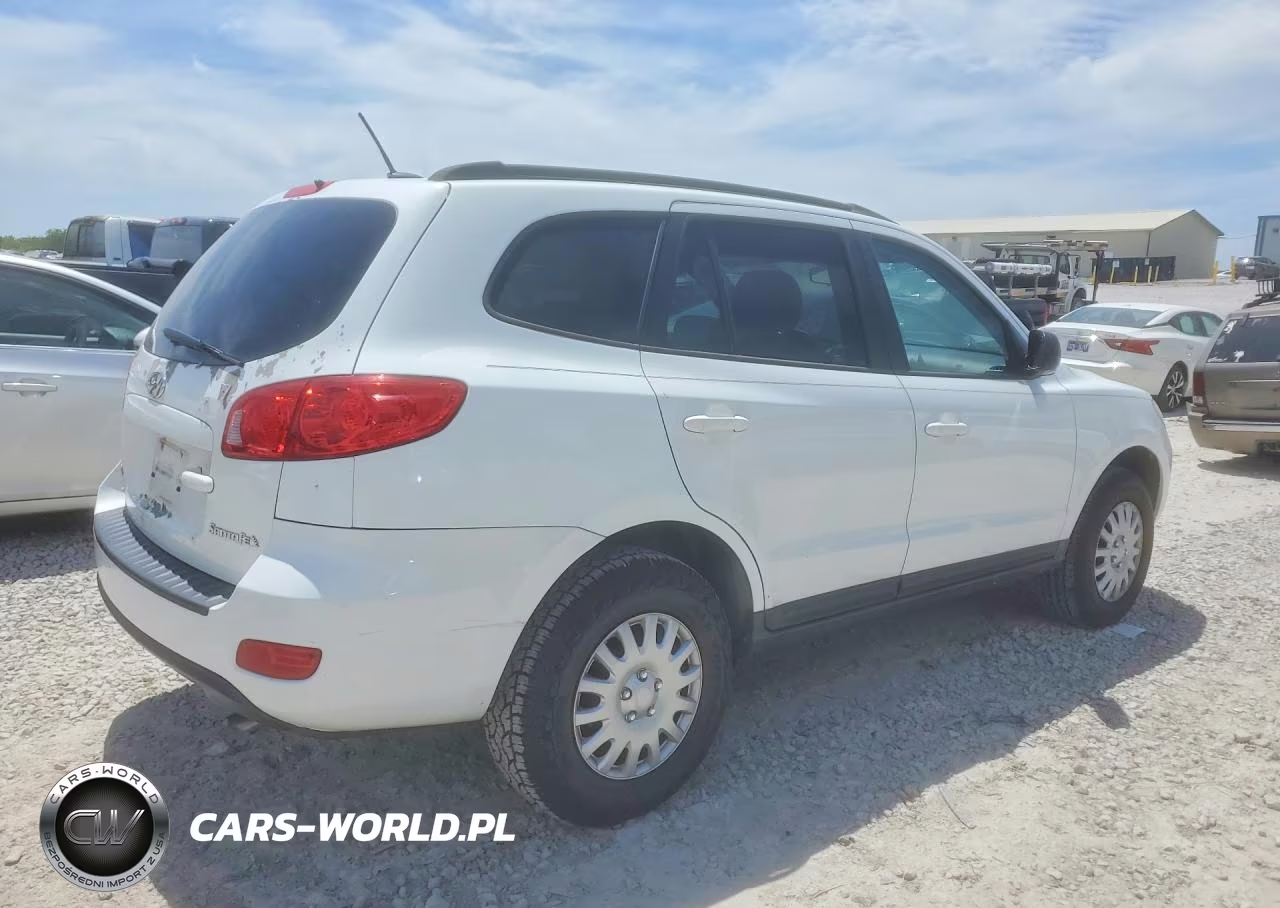 2009 Hyundai Santa Fe Gls VIN:5NMSG13D39H300315 - 3