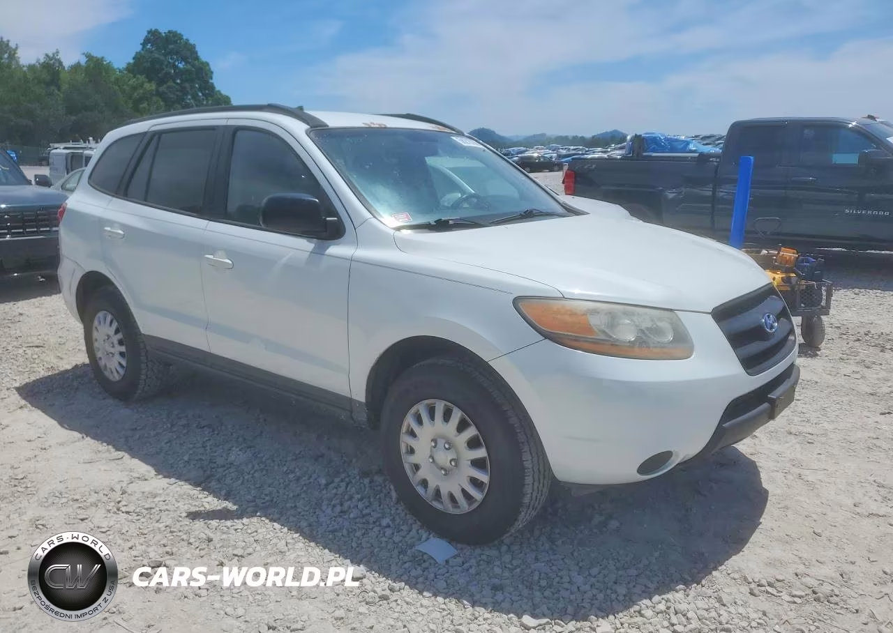 2009 Hyundai Santa Fe Gls VIN:5NMSG13D39H300315 - 4