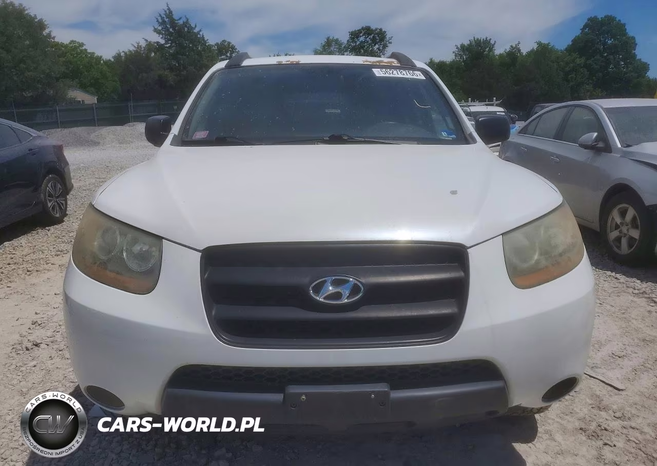 2009 Hyundai Santa Fe Gls VIN:5NMSG13D39H300315 - 5