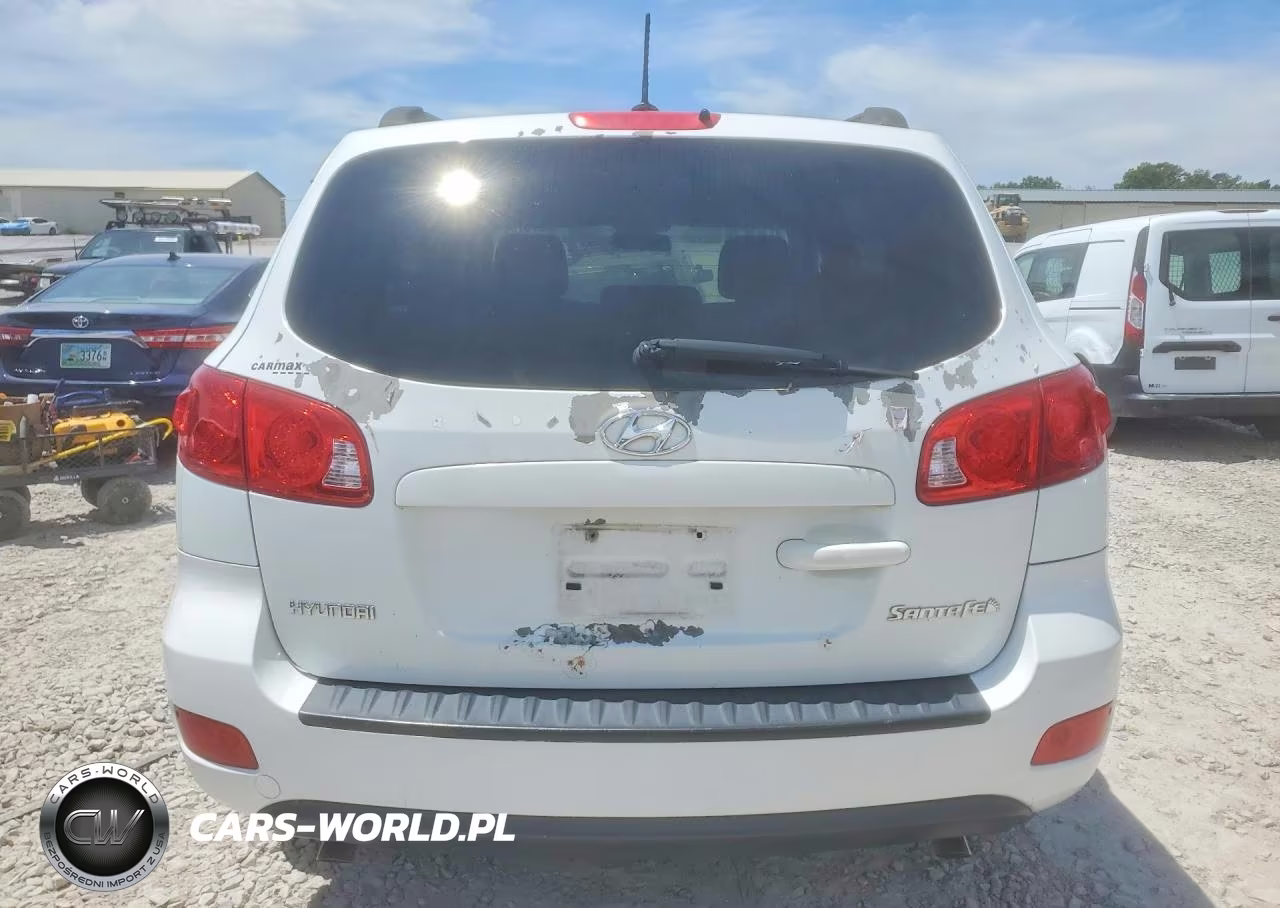2009 Hyundai Santa Fe Gls VIN:5NMSG13D39H300315 - 6