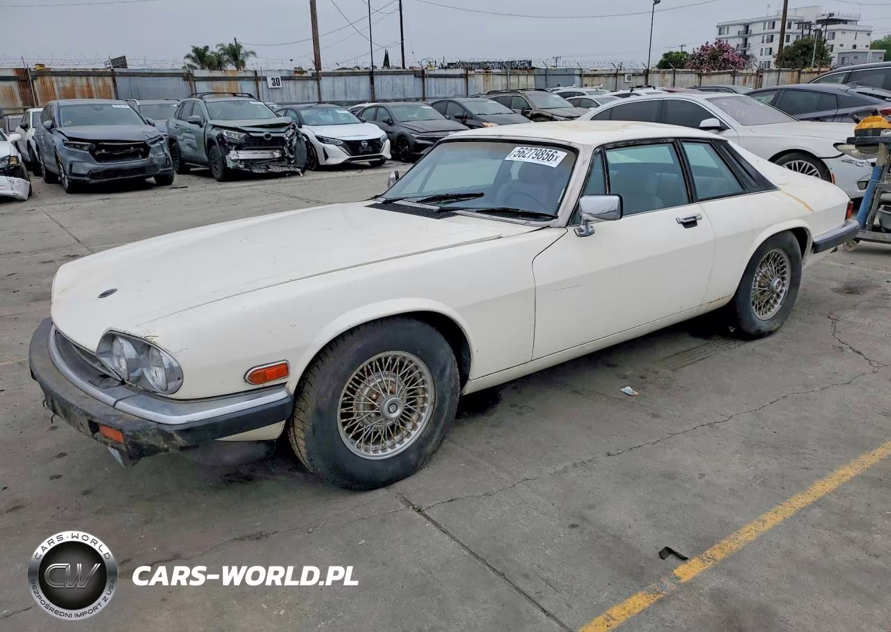 1984 Jaguar Xjs