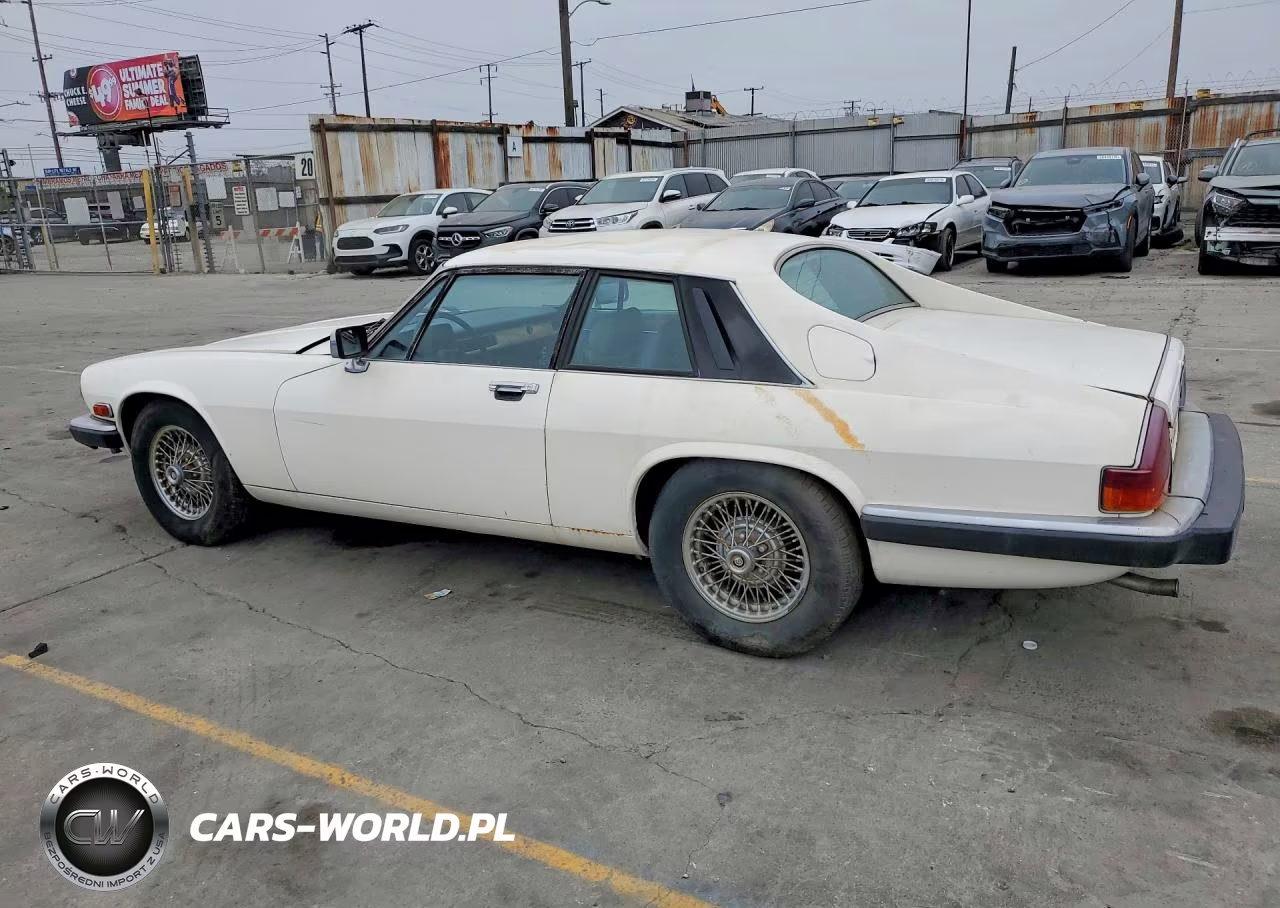 1984 Jaguar Xjs VIN:SAJNV5842EC113497 - 2